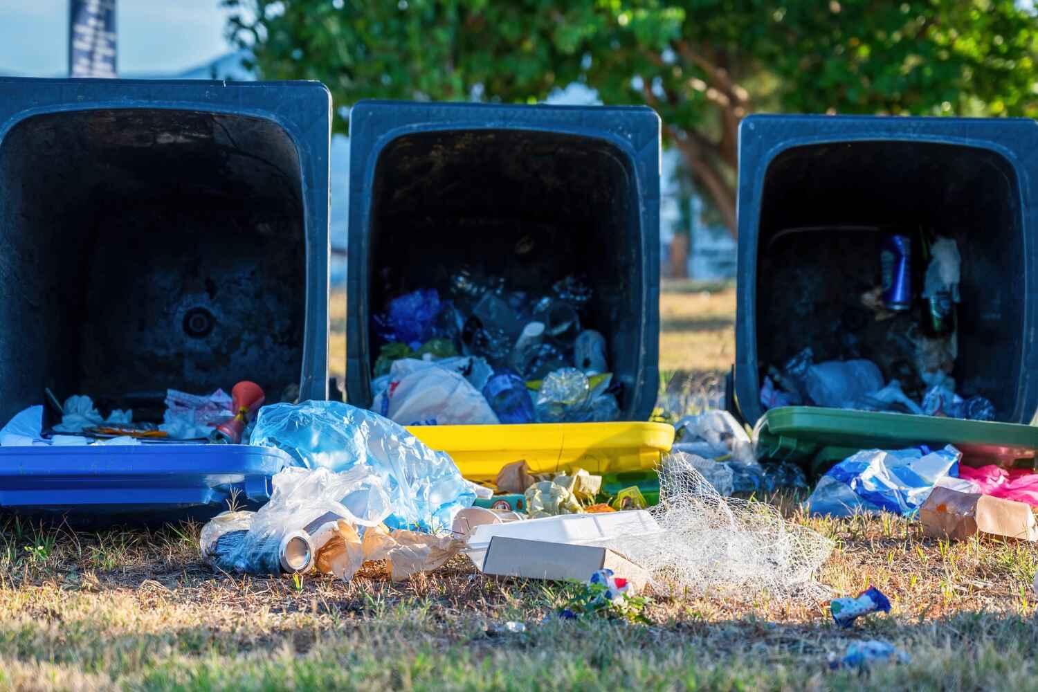 Dumas, TX Junk Removal Company